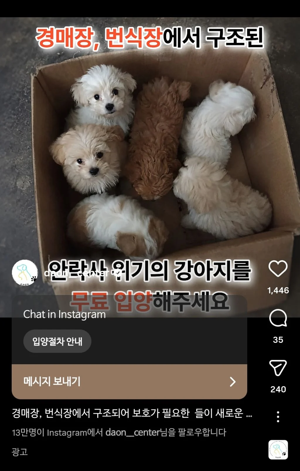 [마플] 이게 윈터가 당한거랑 똑같은 수법이고 마찬가지로 여기도 신종펫샵임 | 인스티즈