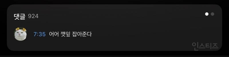 깻잎 논쟁의 당사자가 되어버린 기안84랑 여자 아이돌.jpg | 인스티즈