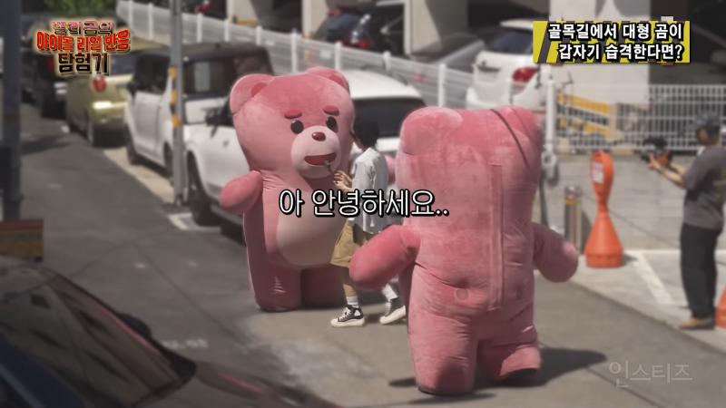 골목길에서 대형곰 습격당했을때...gif | 인스티즈