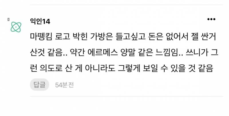 [잡담] 로고 박힌 캔버스백 에코백 들면 | 인스티즈