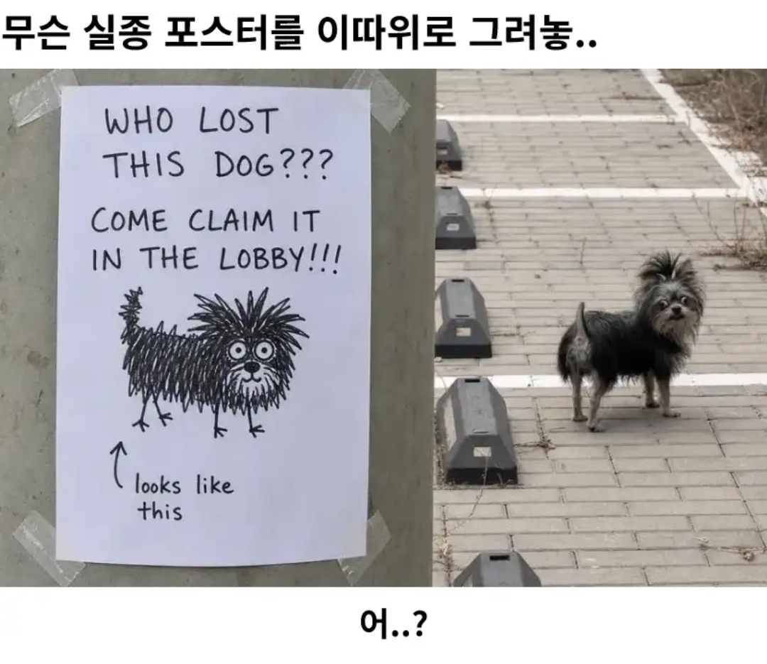 [잡담] 무슨 실종 포스터를 이따위로 그리냐.jpg | 인스티즈