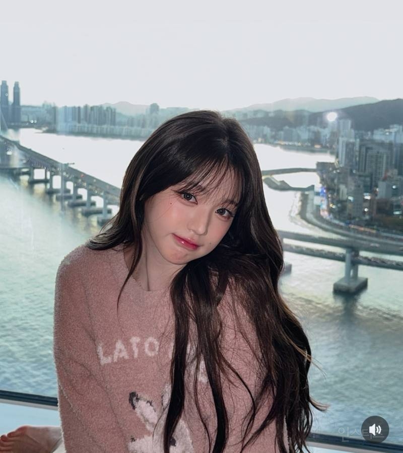 [잡담] 얘들아 나는 소나무야?? | 인스티즈