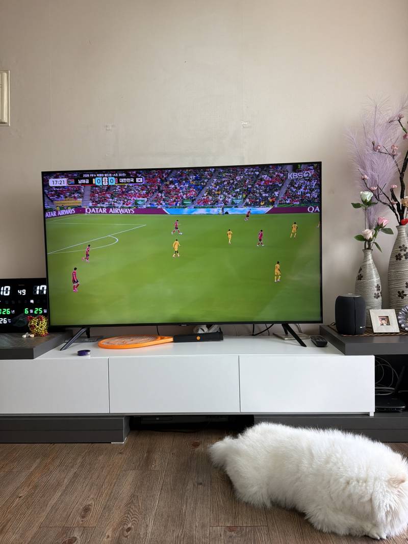[잡담] 시아버지집 들어가서 축구보는중 | 인스티즈