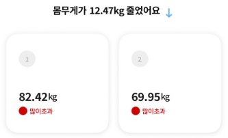 [잡담] 마운자로 4달 후기 | 인스티즈