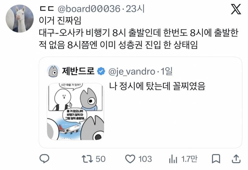 현재 증언 𝙅𝙊𝙉𝙉𝘼 쏟아지는 대구공항 실화..JPG | 인스티즈