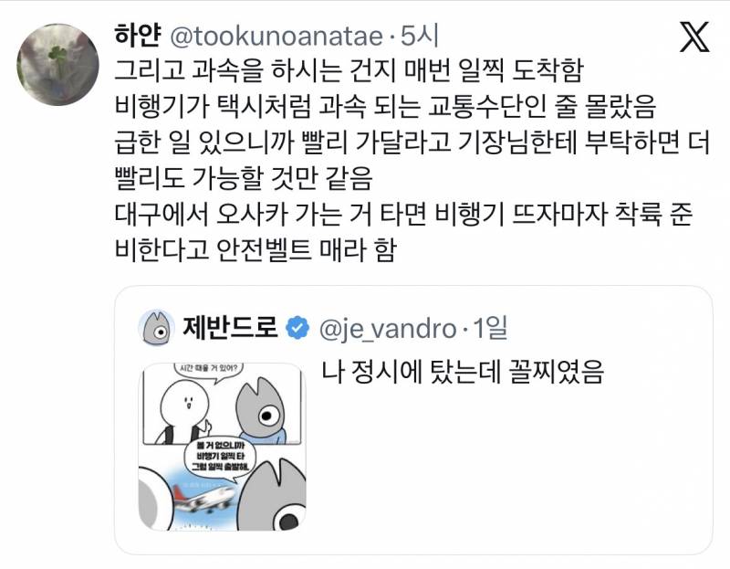 현재 증언 𝙅𝙊𝙉𝙉𝘼 쏟아지는 대구공항 실화..JPG | 인스티즈