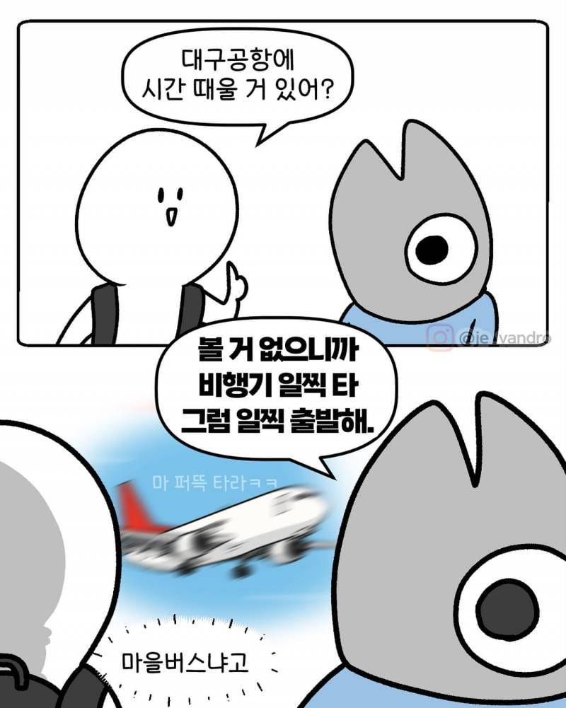 현재 증언 𝙅𝙊𝙉𝙉𝘼 쏟아지는 대구공항 실화..JPG | 인스티즈