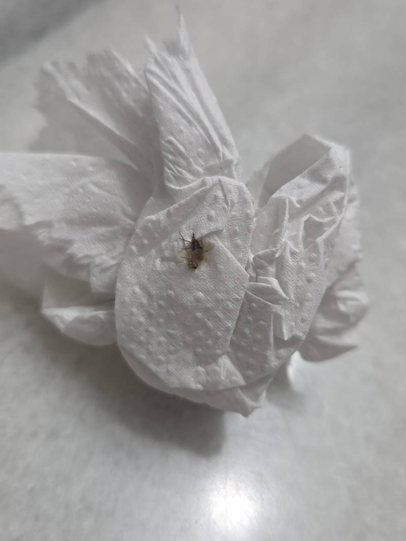 [잡담] 이거 바퀴 아니지?? | 인스티즈
