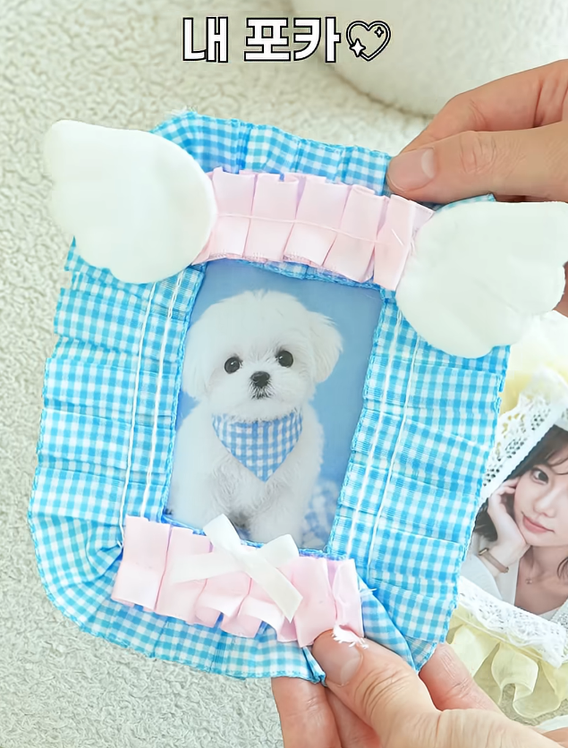 [잡담] 다이소 레이스 탑로더 세트 나왔대 | 인스티즈