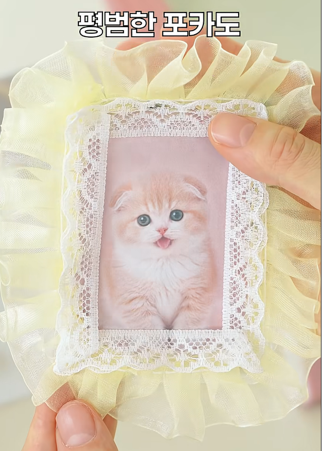 [잡담] 다이소 레이스 탑로더 세트 나왔대 | 인스티즈