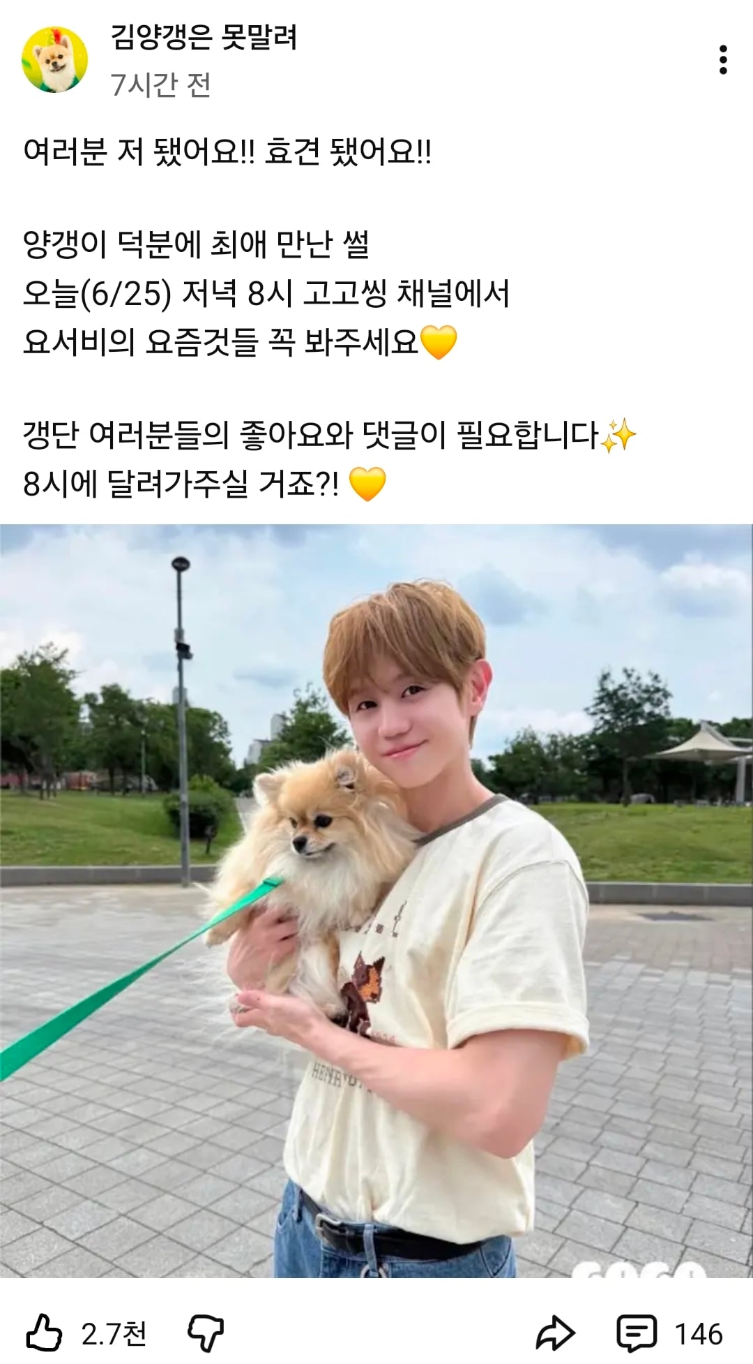 [잡담] 혹시 강아지 유튜브중에서 양갱이라는 강아지 아는익있나 주인분 완전 성덕됐더라고 자기최애 양요섭 만났대 | 인스티즈