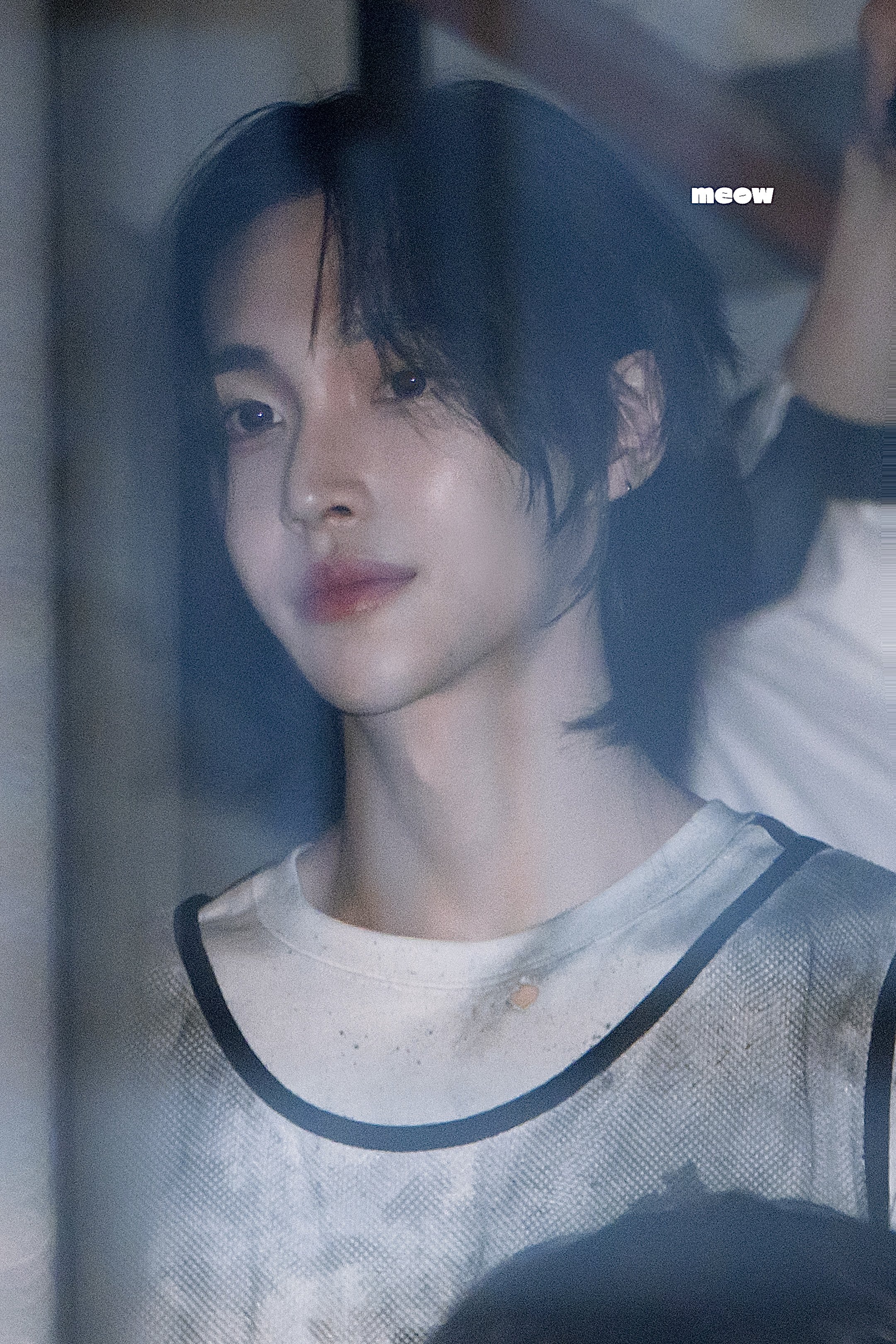 [잡담] 원빈 이사진 정말 분위기있는데 개개개개개이쁘다 | 인스티즈