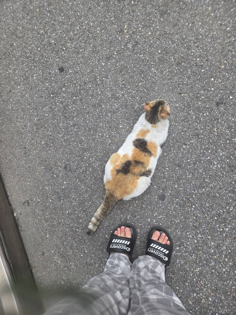 [잡담] 얘뭐지 | 인스티즈