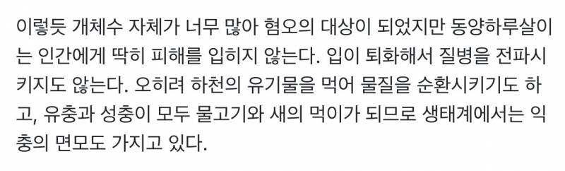 [잡담] 근데 팅커벨 익충이래 | 인스티즈