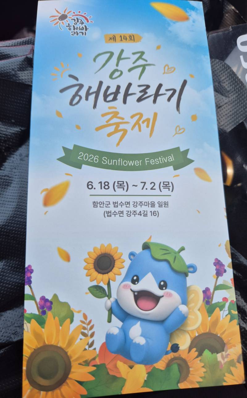 [잡담] 해바라기 축제 댕겨왔다🌻 | 인스티즈