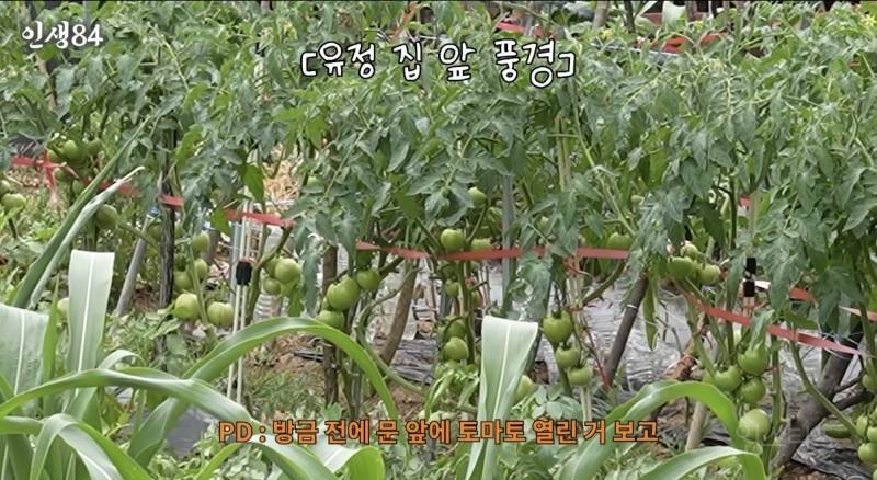 경기도인 울컥하게 만든 기안 84 발언.jpg | 인스티즈