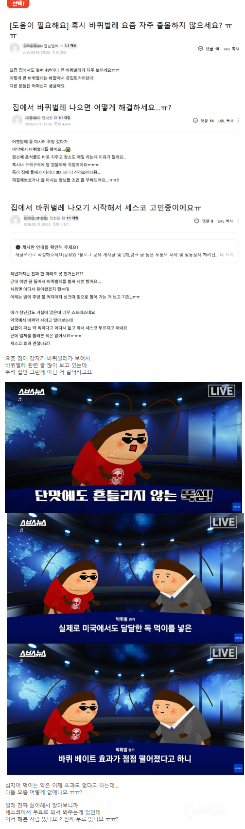 요즘 집에서 자주 출몰한다는 벌레 | 인스티즈