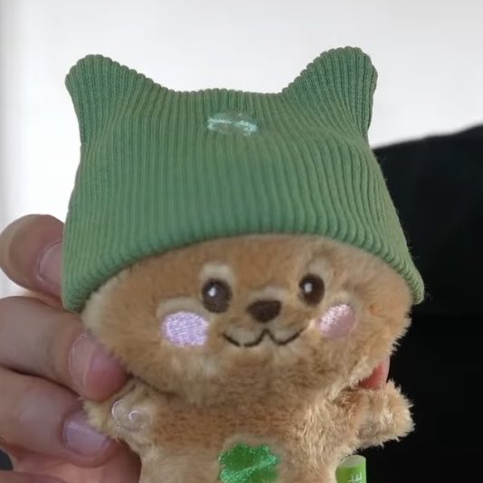 [잡담] 하이라이트 공식 인형 온다!! | 인스티즈