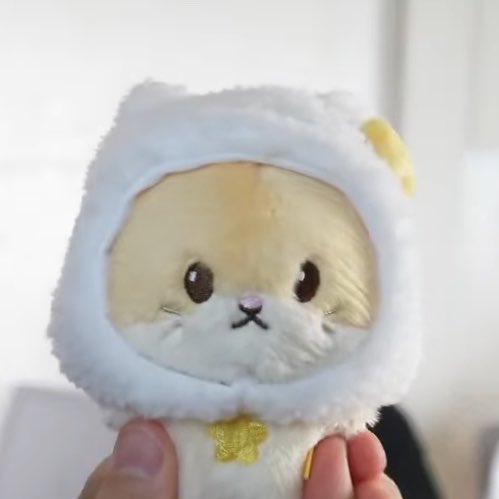 [잡담] 하이라이트 공식 인형 온다!! | 인스티즈