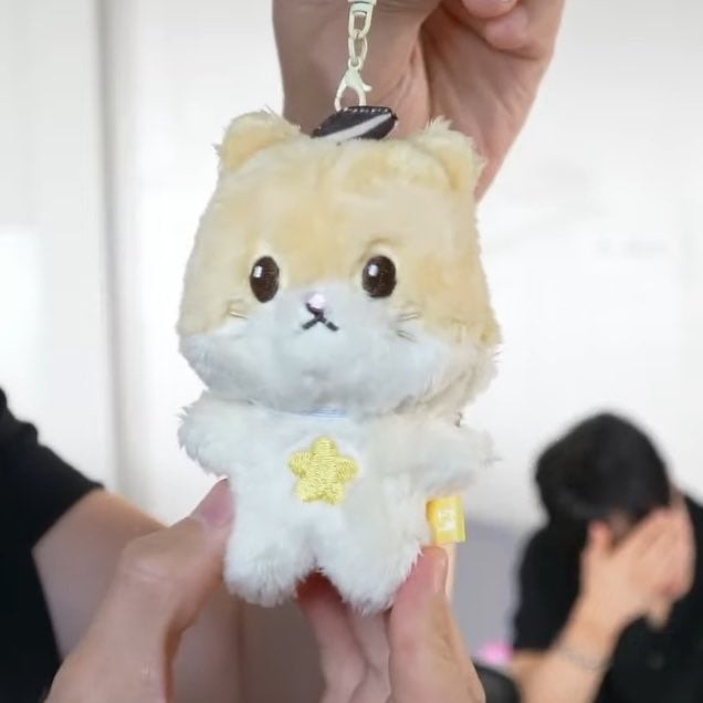[잡담] 하이라이트 인형 나온다!!!!!!!!! | 인스티즈
