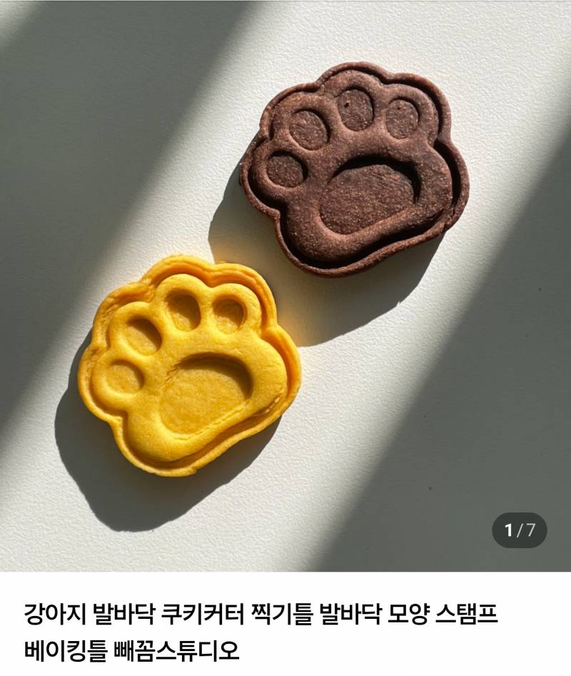 [잡담] 냥발 vs 멍멍이발 골라줄사람 | 인스티즈