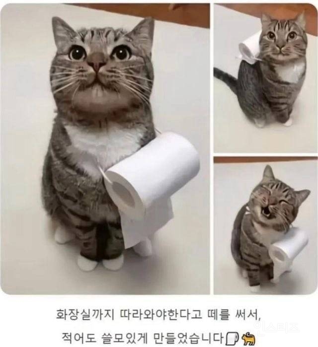 화장실 따라오겠다 떼쓰는 냥이를 쓸모있게 만듦 | 인스티즈