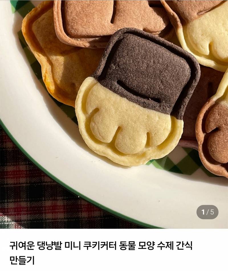 [잡담] 냥발 vs 멍멍이발 골라줄사람 | 인스티즈