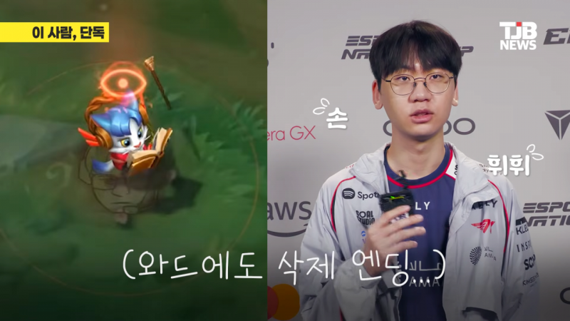 [잡담] 스킨에 도란 얼굴 삭제도ㅒㅆ대ㅜ | 인스티즈