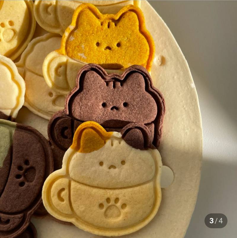 [잡담] 뭐가 더 귀여운지 골라줄 귀여운 익인 구해요🙆‍♀️ | 인스티즈