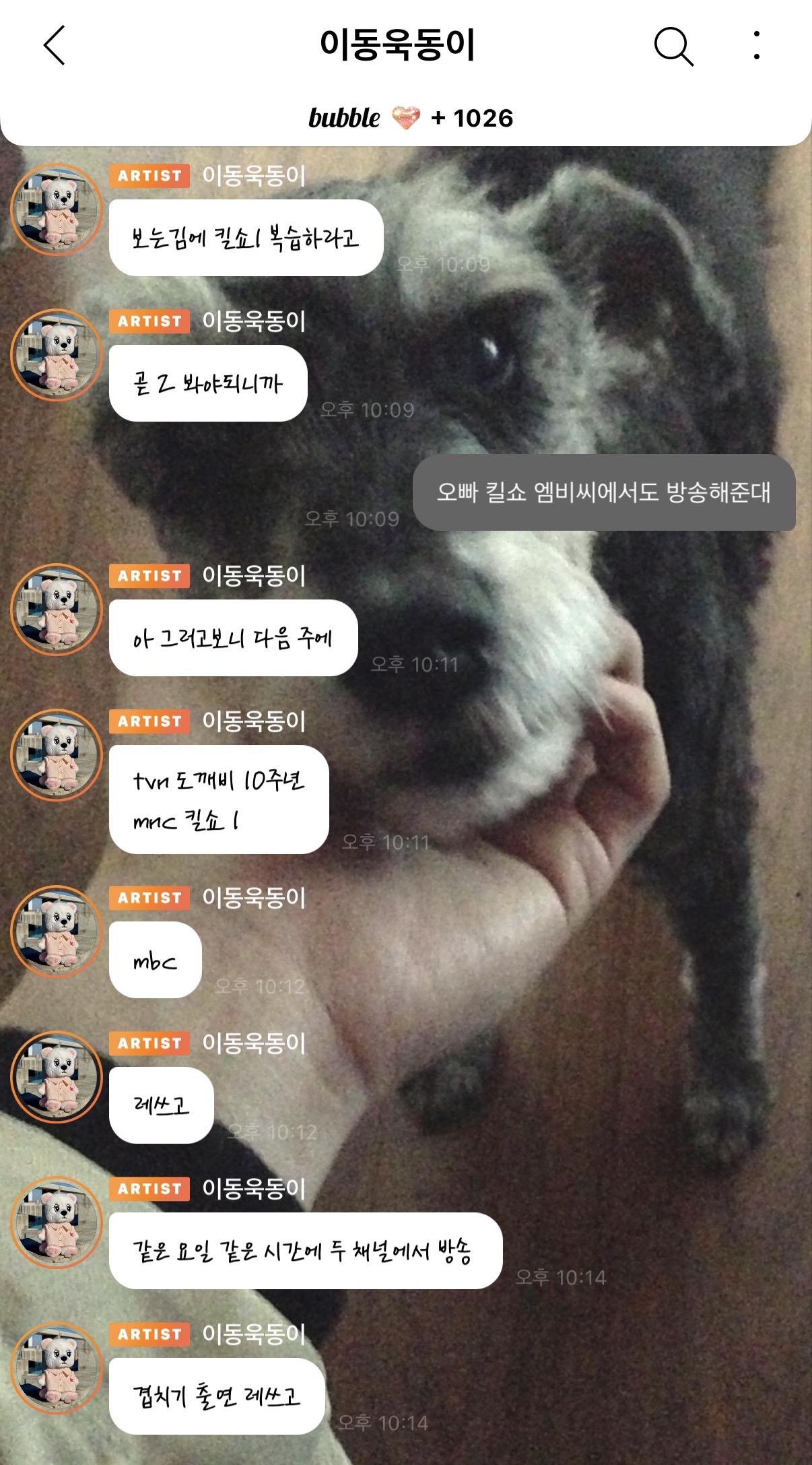[잡담] 버블 이정도면 티키타카 성공한건가 | 인스티즈