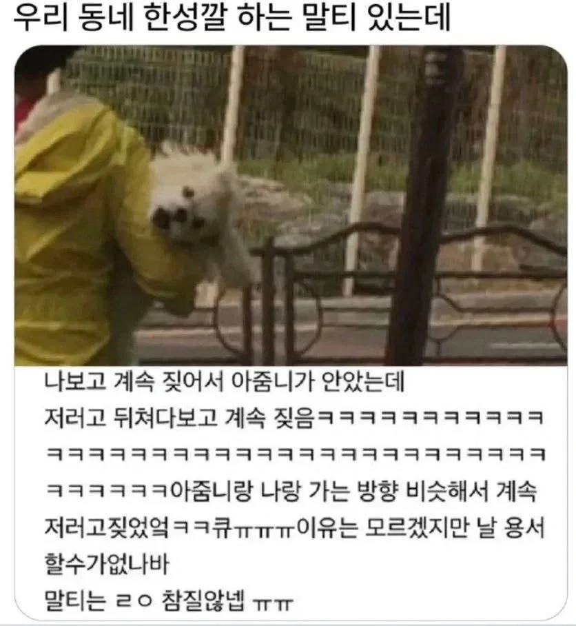 솔직히 난 성형했지만 존예고 직업 잘 선택해서 돈도 정말 많음^^ | 인스티즈