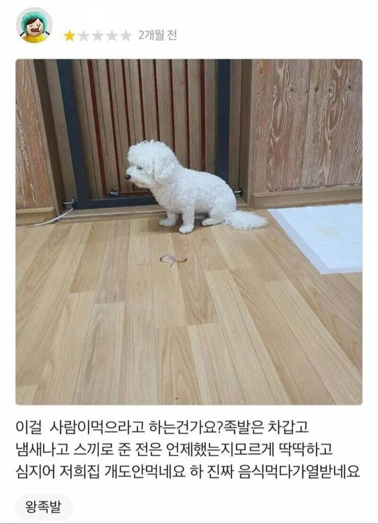 솔직히 난 성형했지만 존예고 직업 잘 선택해서 돈도 정말 많음^^ | 인스티즈