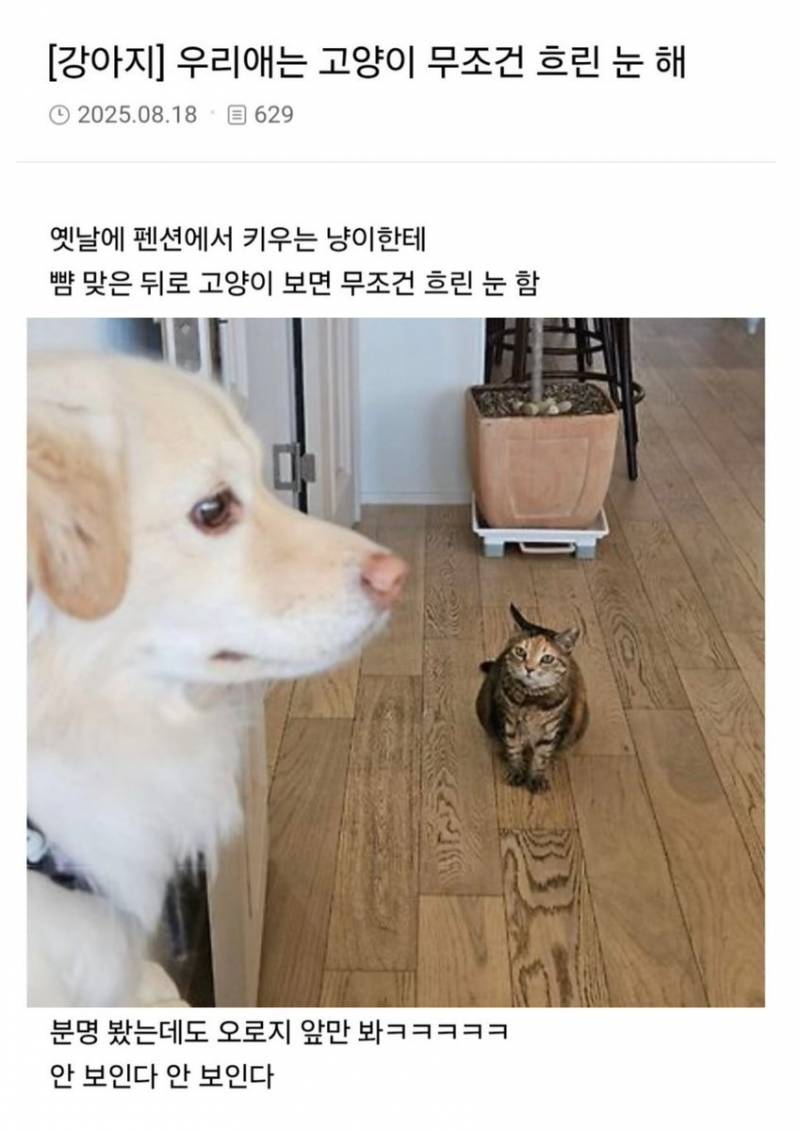 솔직히 난 성형했지만 존예고 직업 잘 선택해서 돈도 정말 많음^^ | 인스티즈