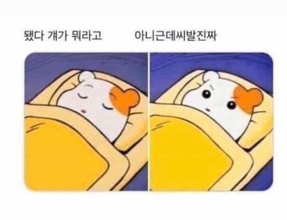 [잡담] 요즘 홍명보 때문에 맨날 이상태임 | 인스티즈