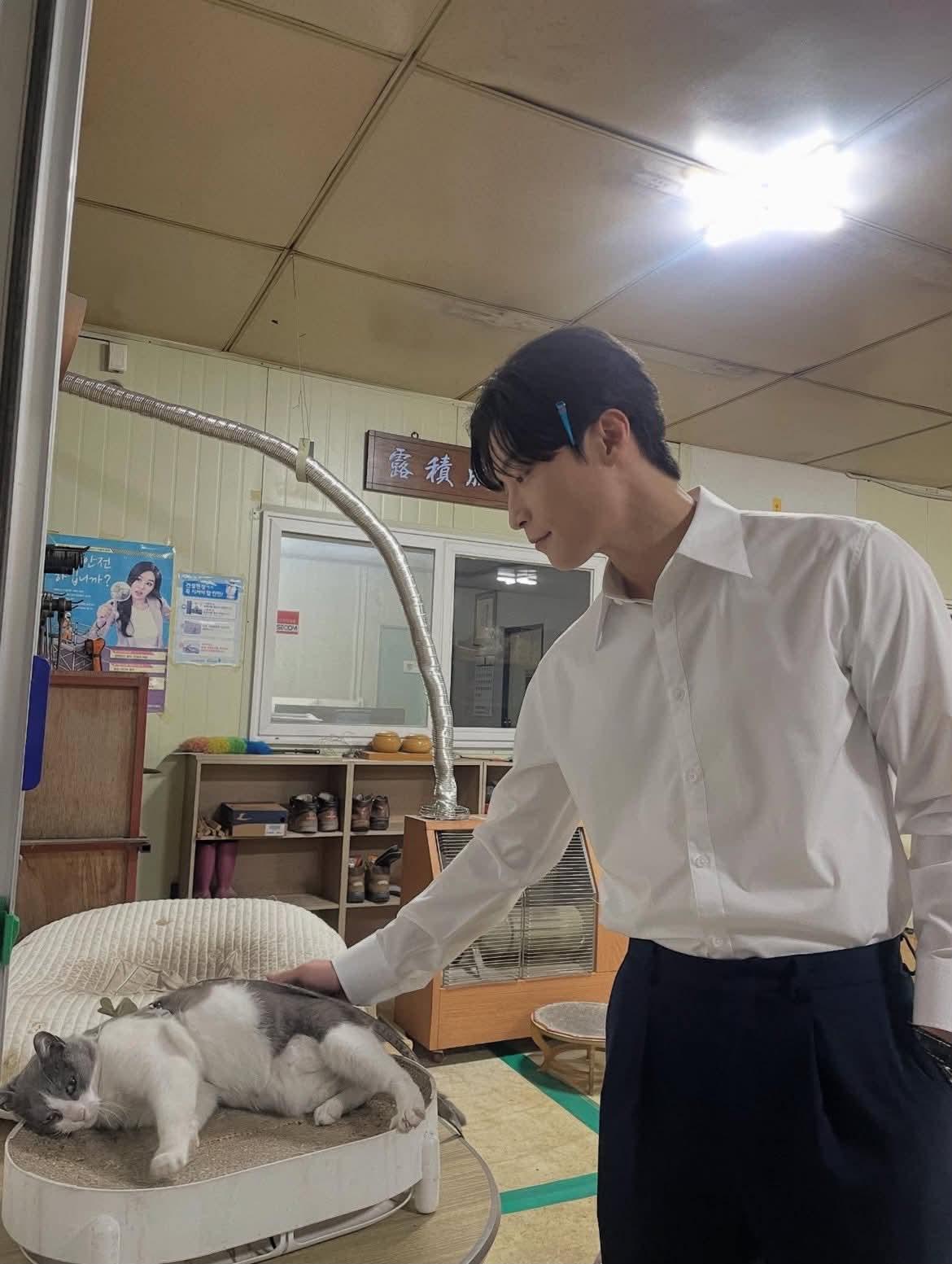 [잡담] 고양이 츄르주는 허남준 | 인스티즈