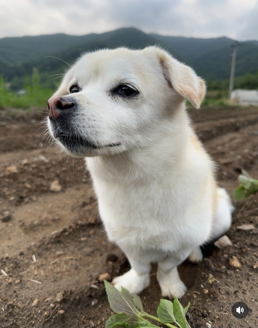 [잡담] 절미 아직도 이쁜거봐 | 인스티즈