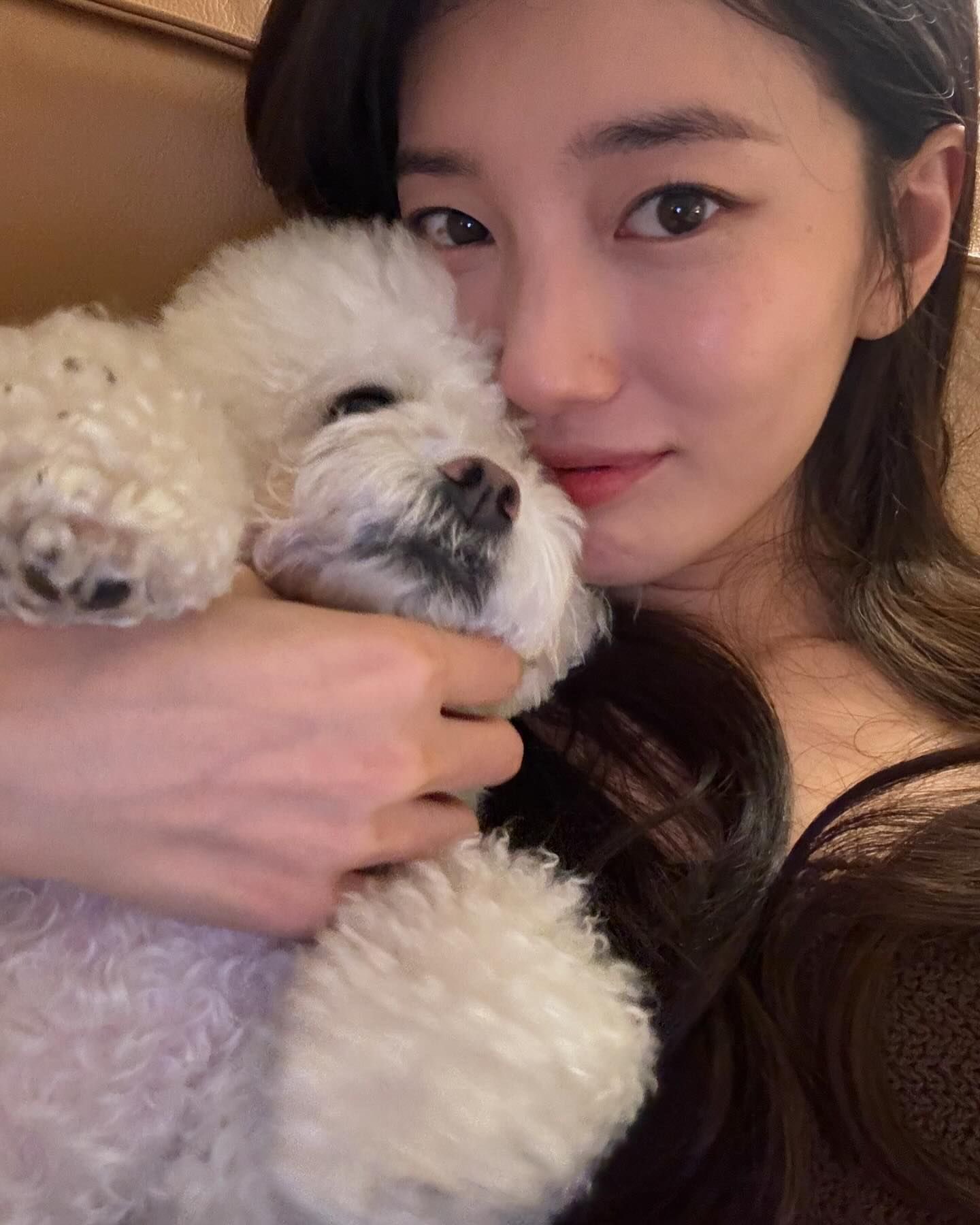 [잡담] 수지로 보는 자기가 찍는 셀카와 남이 찍어준 사진의 차이 | 인스티즈