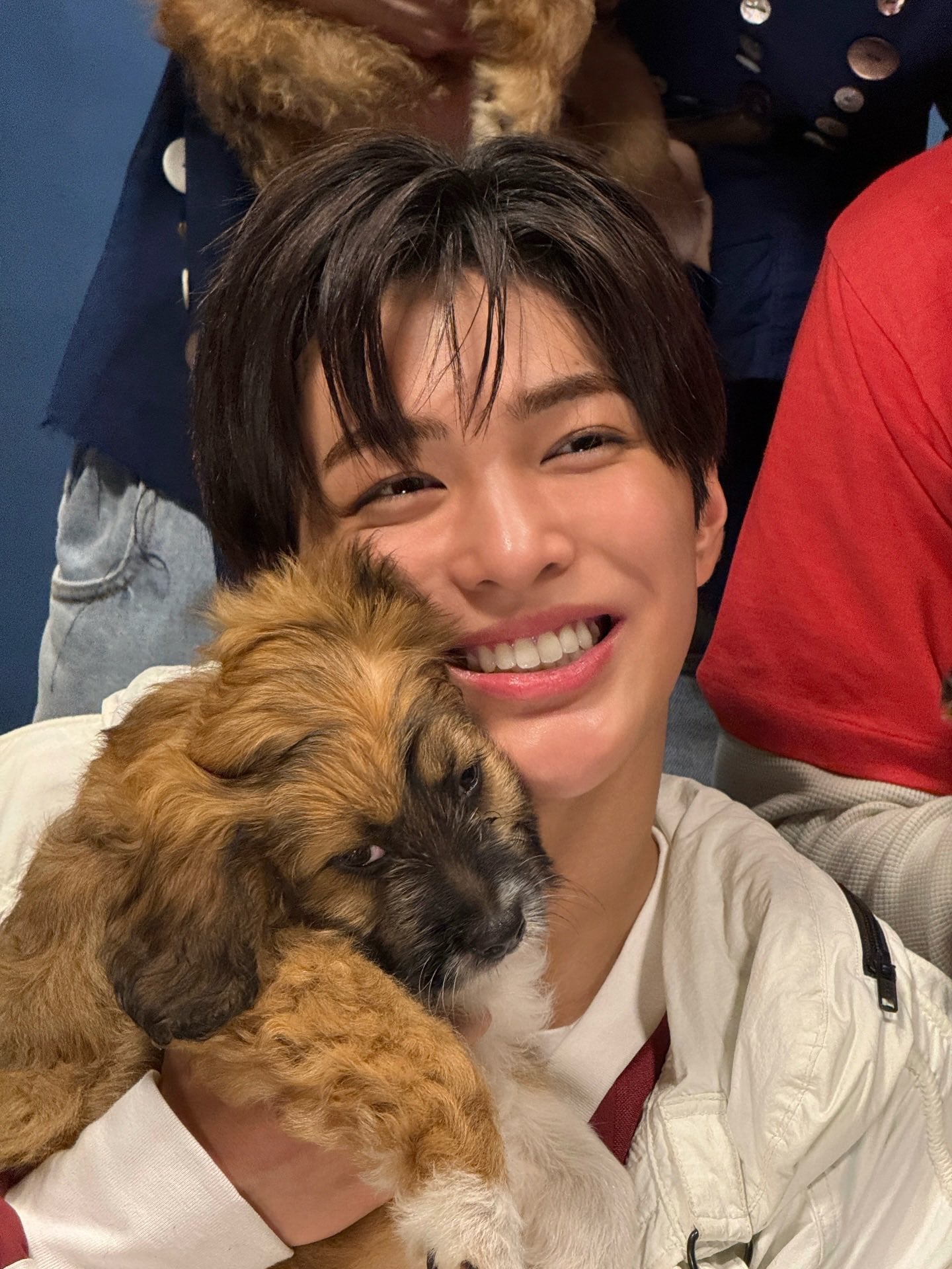 [잡담] 건호랑 강아지랑 졸귀×졸귀 = 미침 | 인스티즈