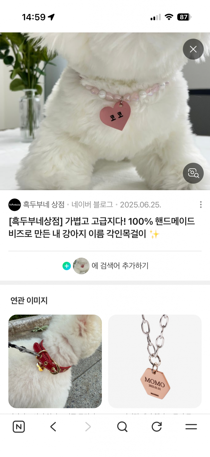 [잡담] 강아지 집사들아 ㅠ 애기들 이름표 목걸이 잇어? | 인스티즈