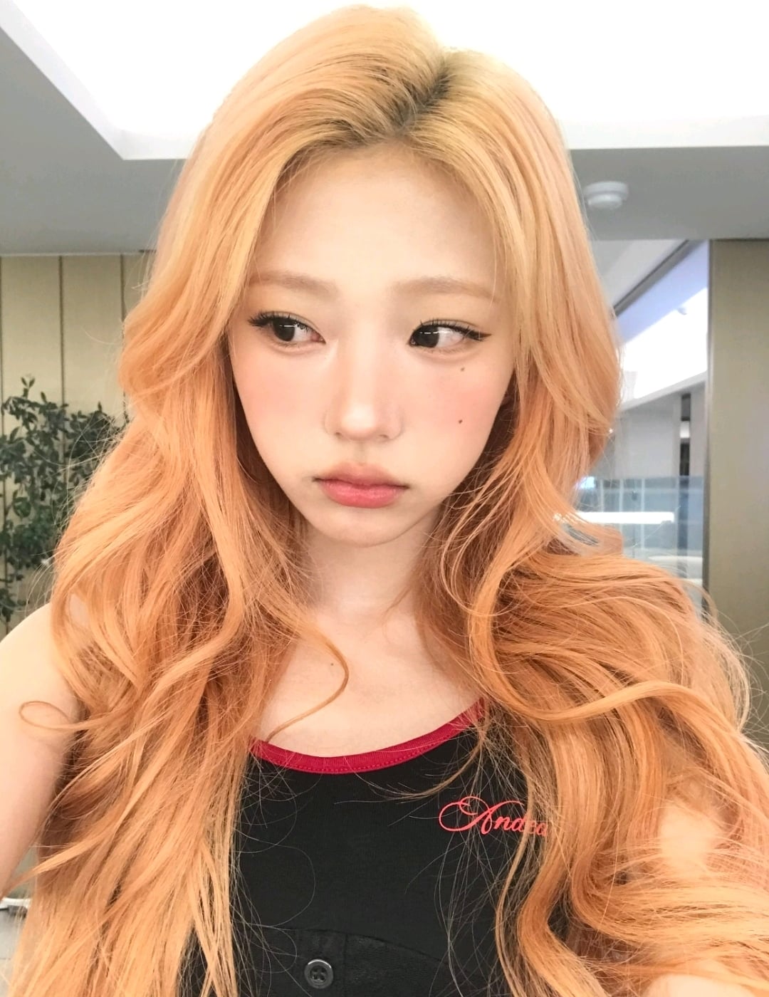 [잡담] 스텔라 너무 예쁘지 않니 얘두라 요새 푹 빠졌어 | 인스티즈