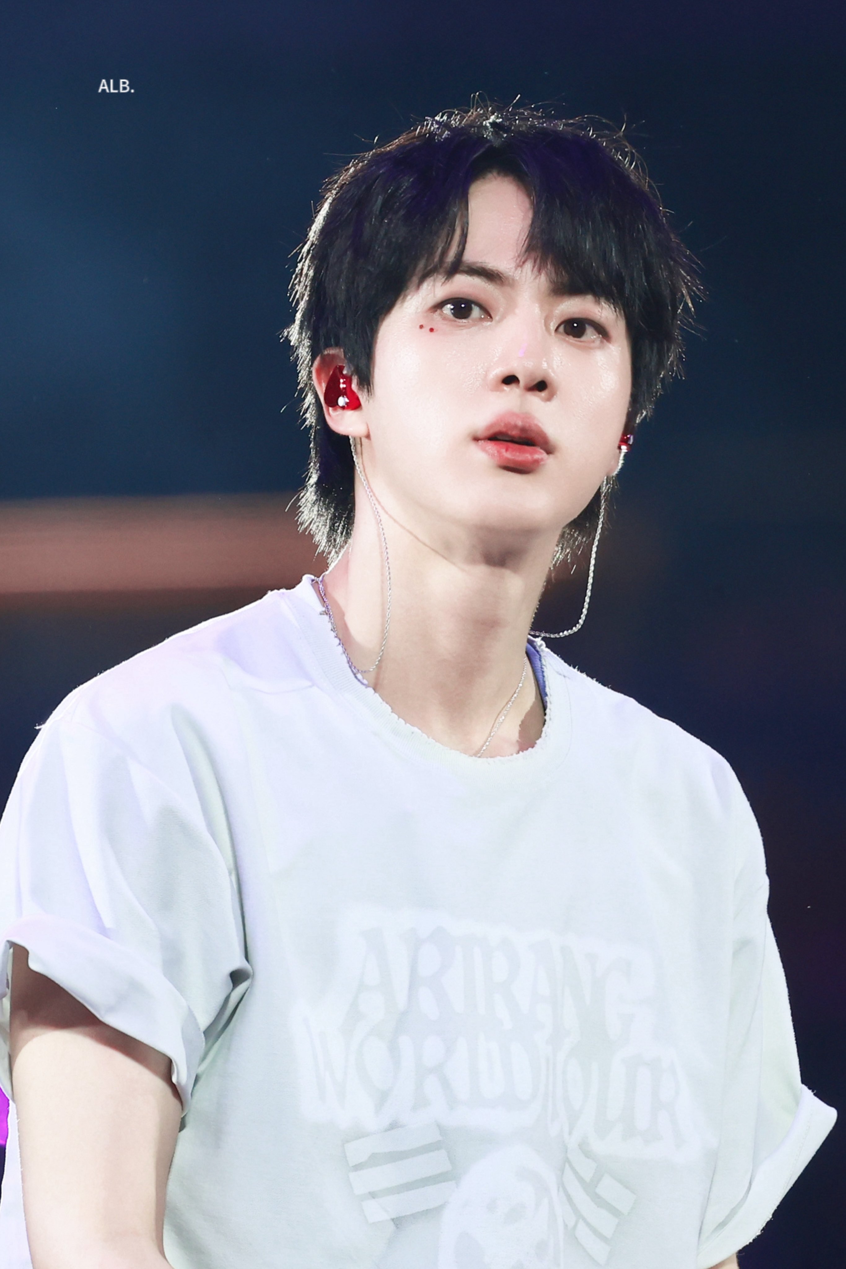 [잡담] 방탄 진 오늘 아까 공연 | 인스티즈