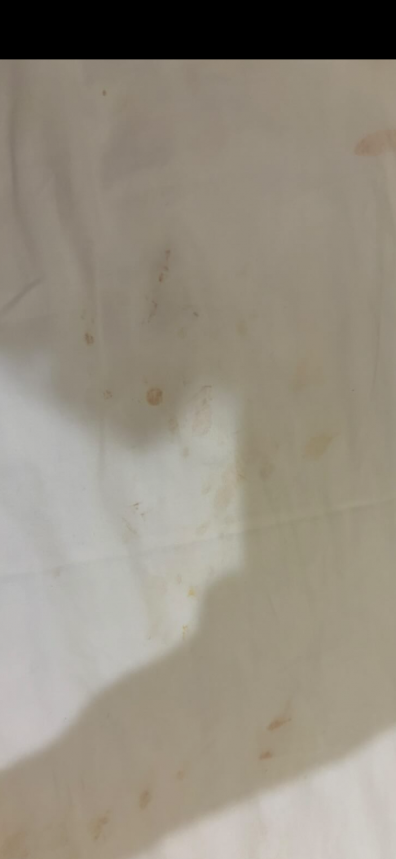 [잡담] ㅡ호텔 침대 커버에 배달 국물 흘렸는데 배상해줘야할까?ㅠㅠ | 인스티즈