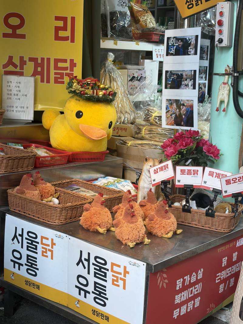 [잡담] 닭집 | 인스티즈