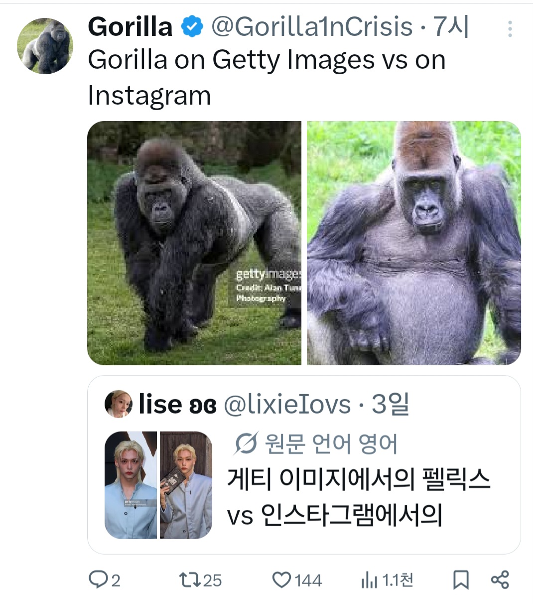 [잡담] 필릭스 게티 이제 동물로 알티타는거 너무 재밌어 | 인스티즈
