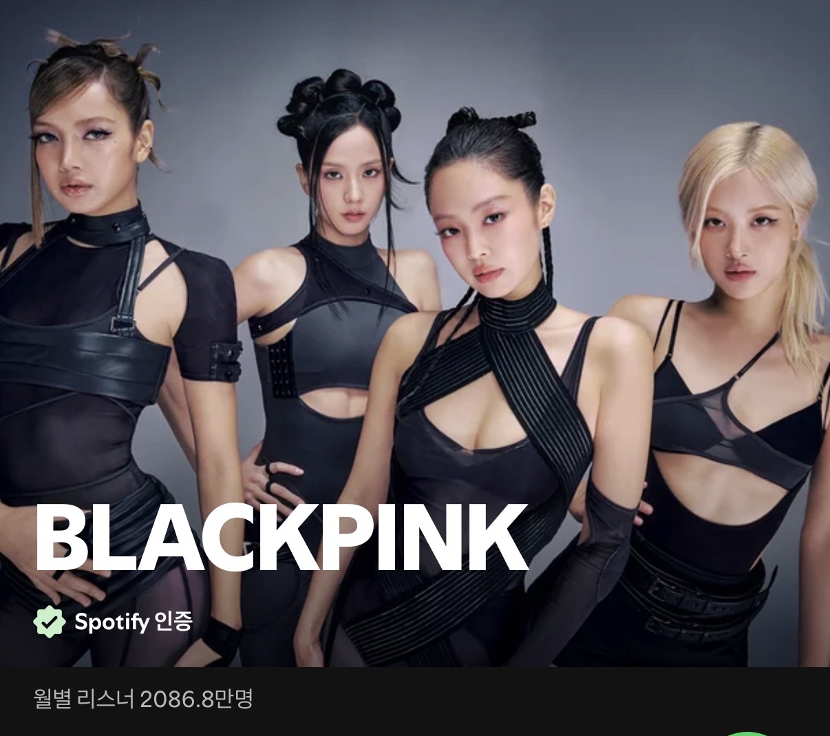 [잡담] 현재 스포티파이에서 월간 청취자가 가장 많은 K-POP 그룹 TOP10 | 인스티즈