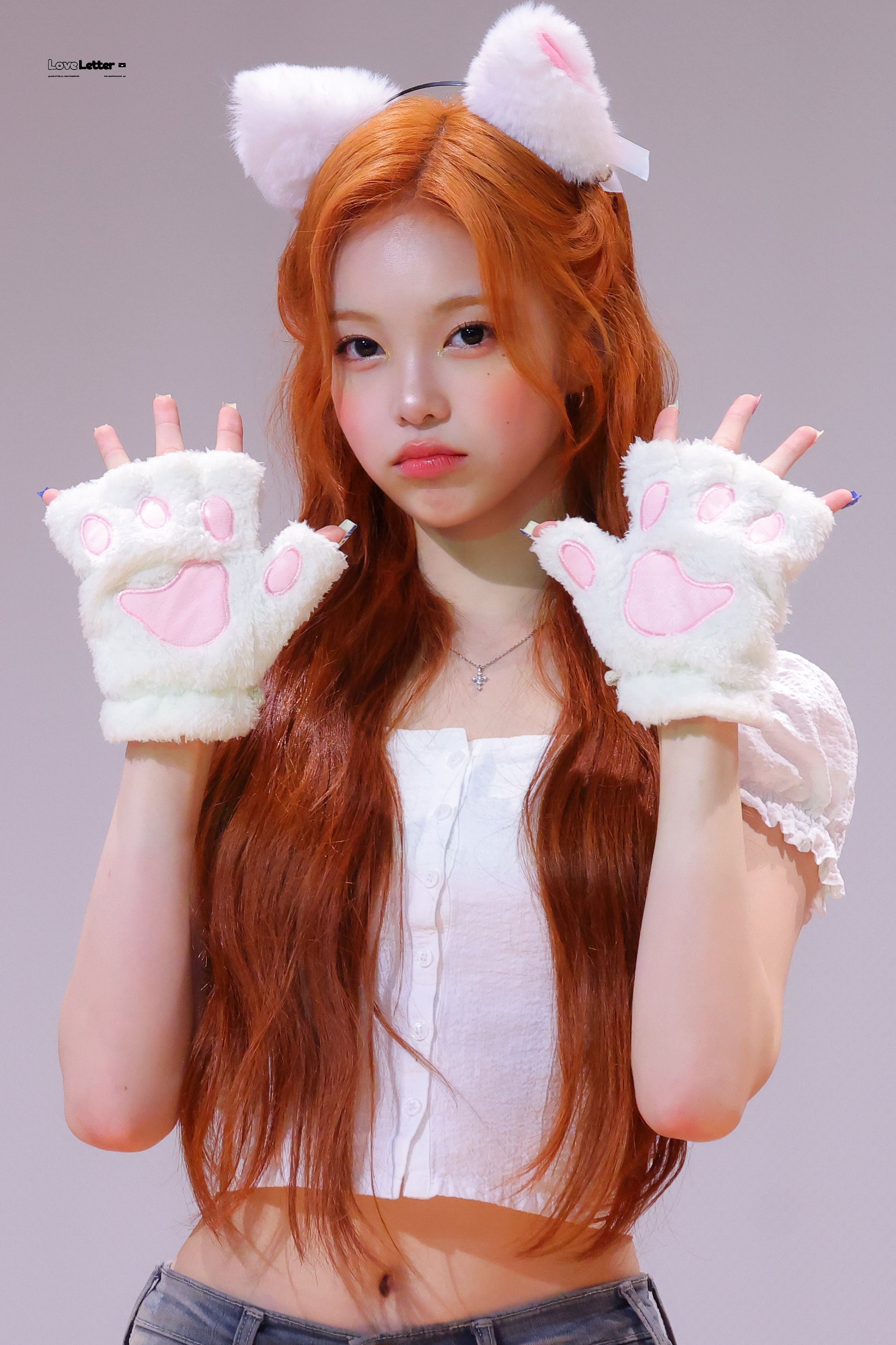 [잡담] 하투하 고양이들 넘 쥬타 | 인스티즈