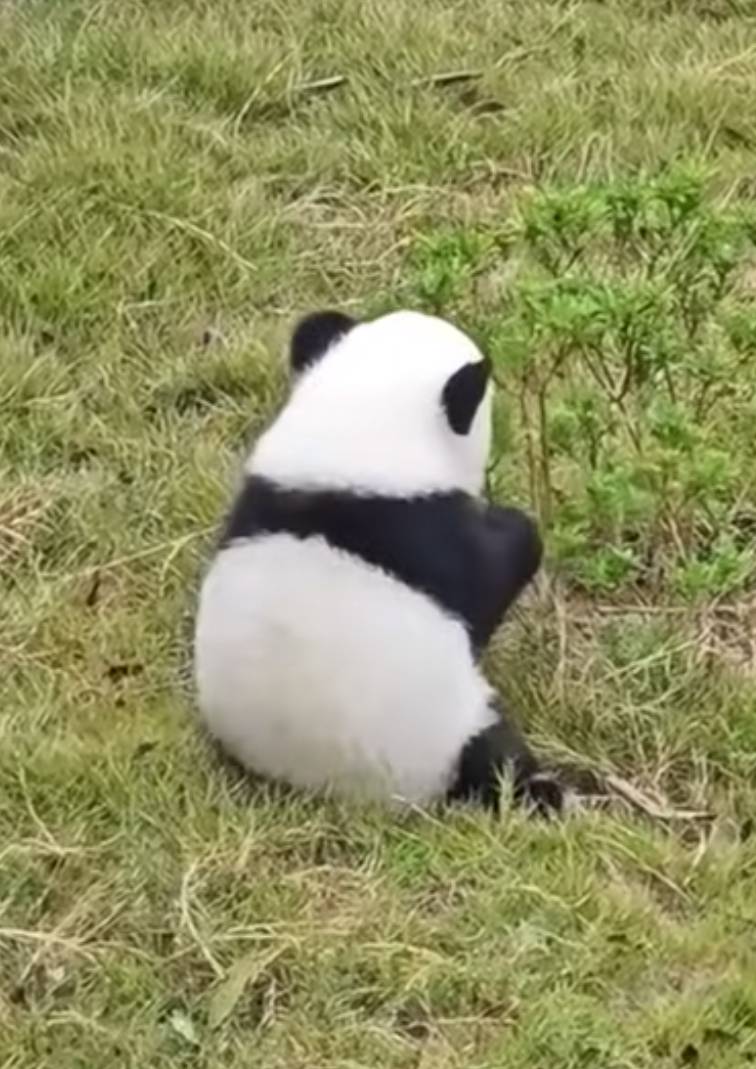 [잡담] 귀엽다 🍙 | 인스티즈