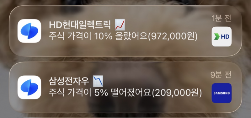 [잡담] 고점판독기 진짜 죽지도 않고 또 왔다 | 인스티즈