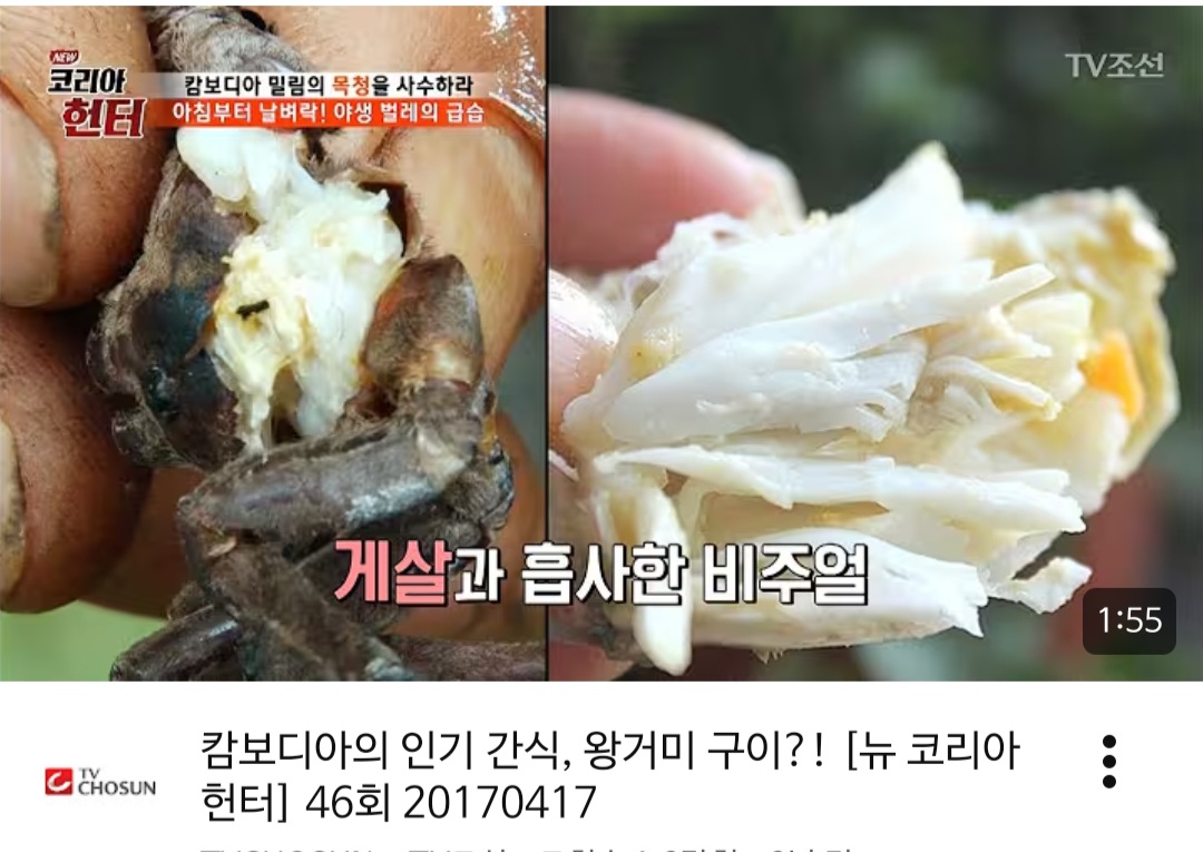 [잡담] 아니 거미가 살이 많고 먹을게많구나 게살같대 | 인스티즈