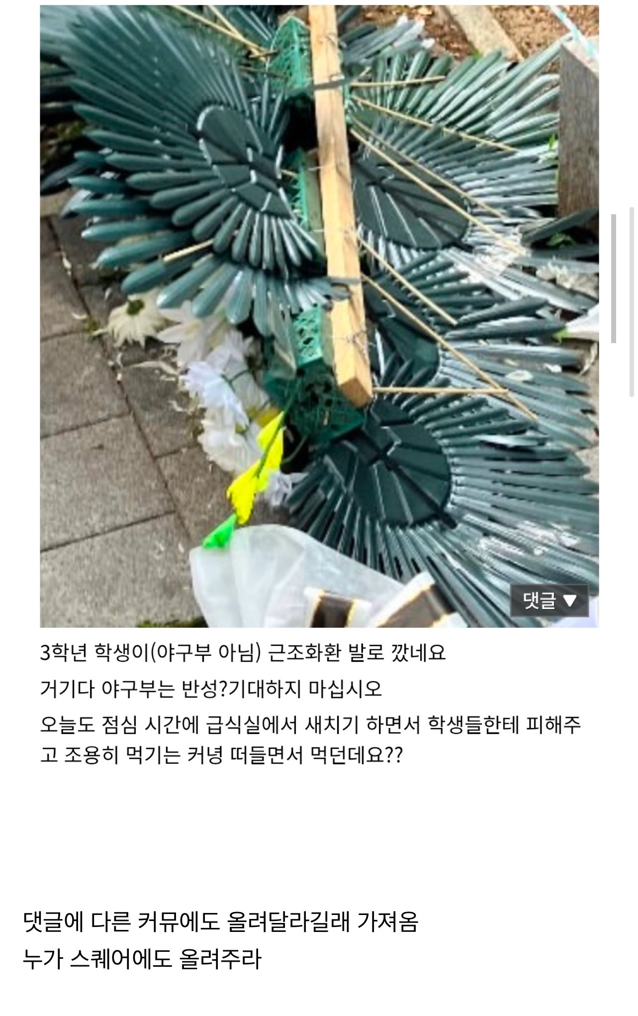 [정보/소식] 현재 배재고 근황이래 | 인스티즈